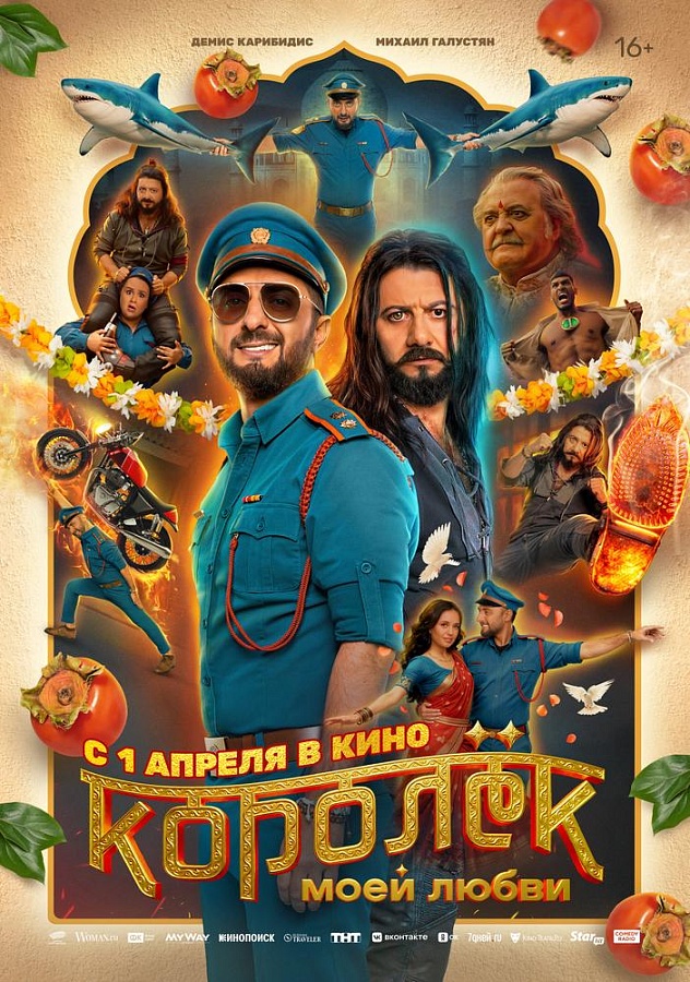 Королёк моей любви, 16+