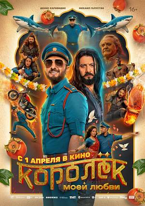 Королёк моей любви, 16+